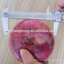 2014 neue Ernte rote Zwiebel mit bestem Preis für sale5-7cm, 6-8cm, 8cm oben